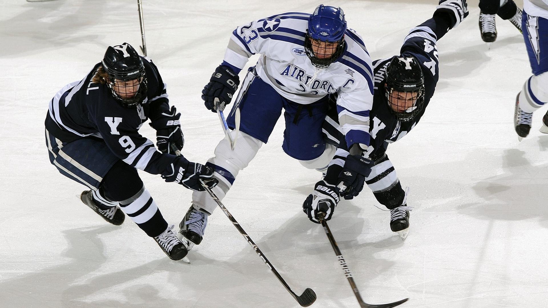 羽毛球赛场焦点！克罗地亚队对阵荷兰队，连胜纪录继续刷新，球队势不可挡